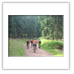 Jahrestour 2008 - MTB-Gruppe