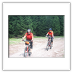 Jahrestour 2008 - MTB-Gruppe