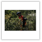 Jahrestour Ligurien 2010: Bilder von Klaus